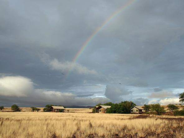 Desert Rhino Camp - Landscape 